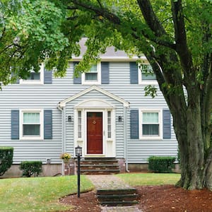 large tree in front of residential home